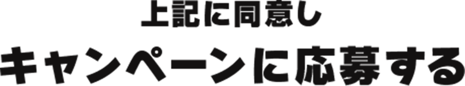 上記に同意しキャンペーンに応募する